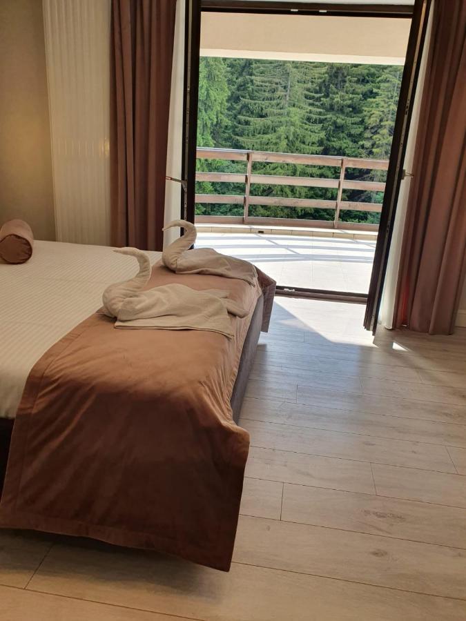 Apartament Ozon Пояна-Брашов Екстер'єр фото