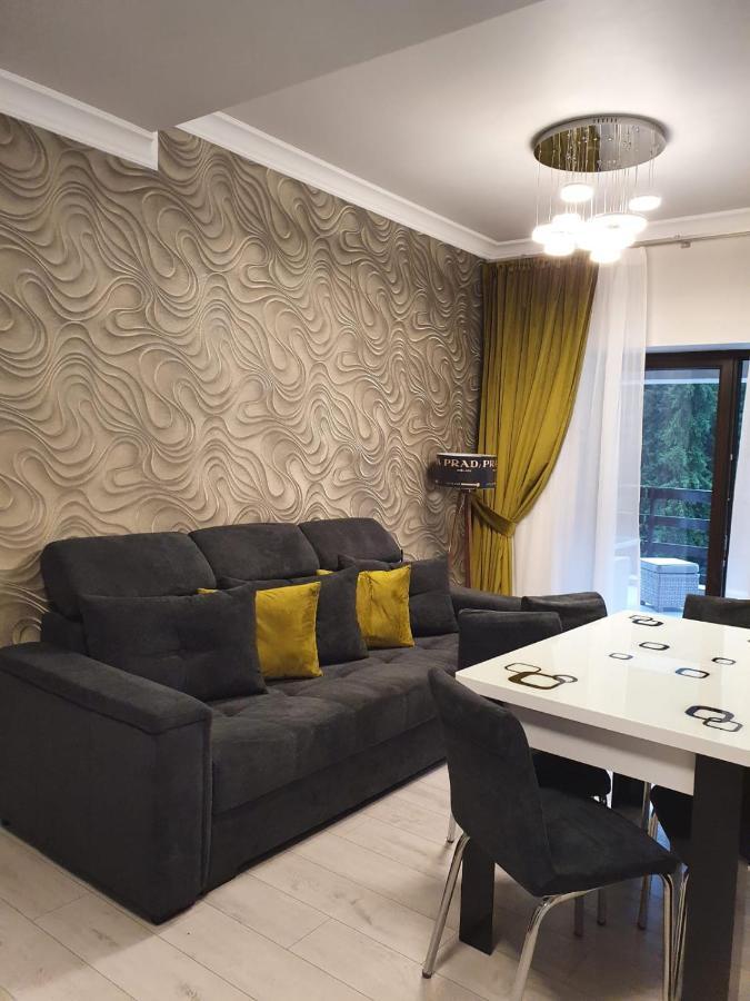 Apartament Ozon Пояна-Брашов Екстер'єр фото