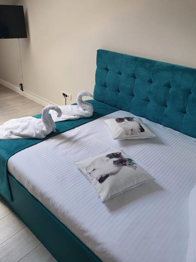 Apartament Ozon Пояна-Брашов Екстер'єр фото