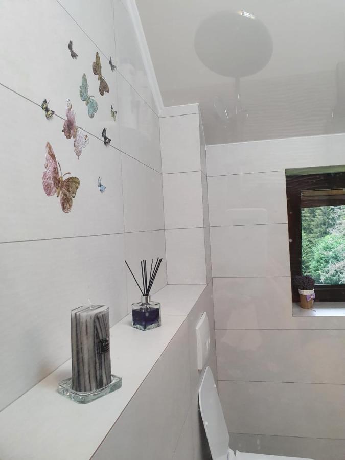 Apartament Ozon Пояна-Брашов Екстер'єр фото