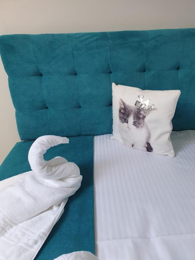 Apartament Ozon Пояна-Брашов Екстер'єр фото