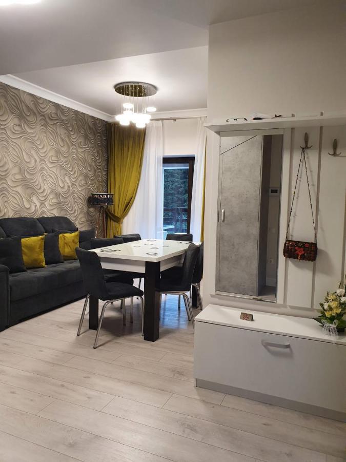 Apartament Ozon Пояна-Брашов Екстер'єр фото