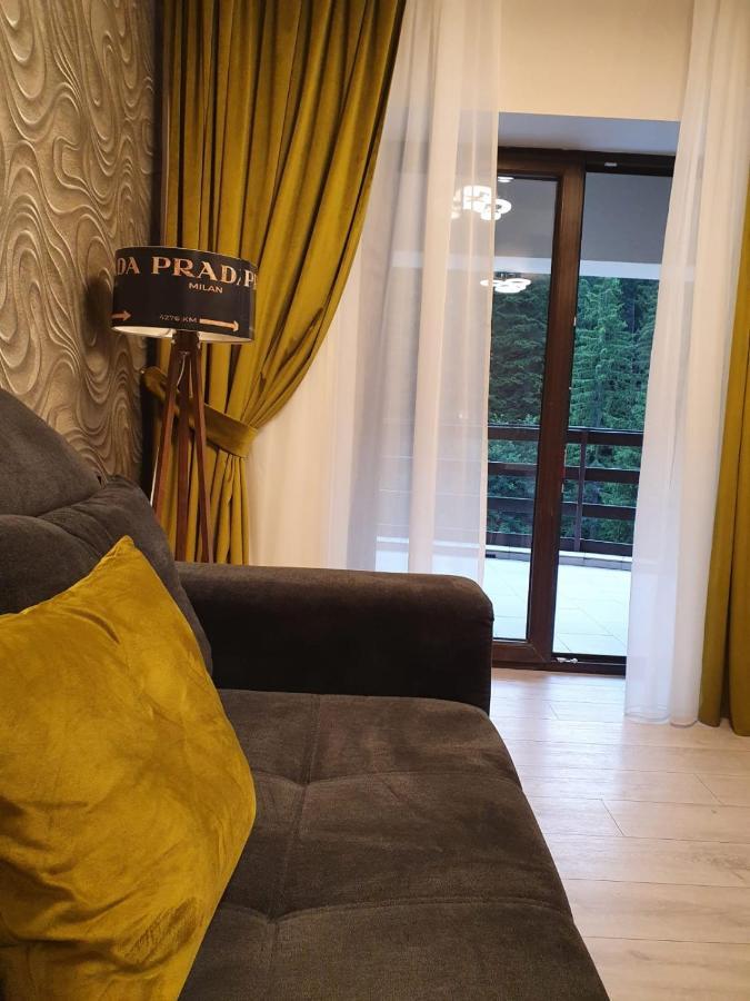 Apartament Ozon Пояна-Брашов Екстер'єр фото