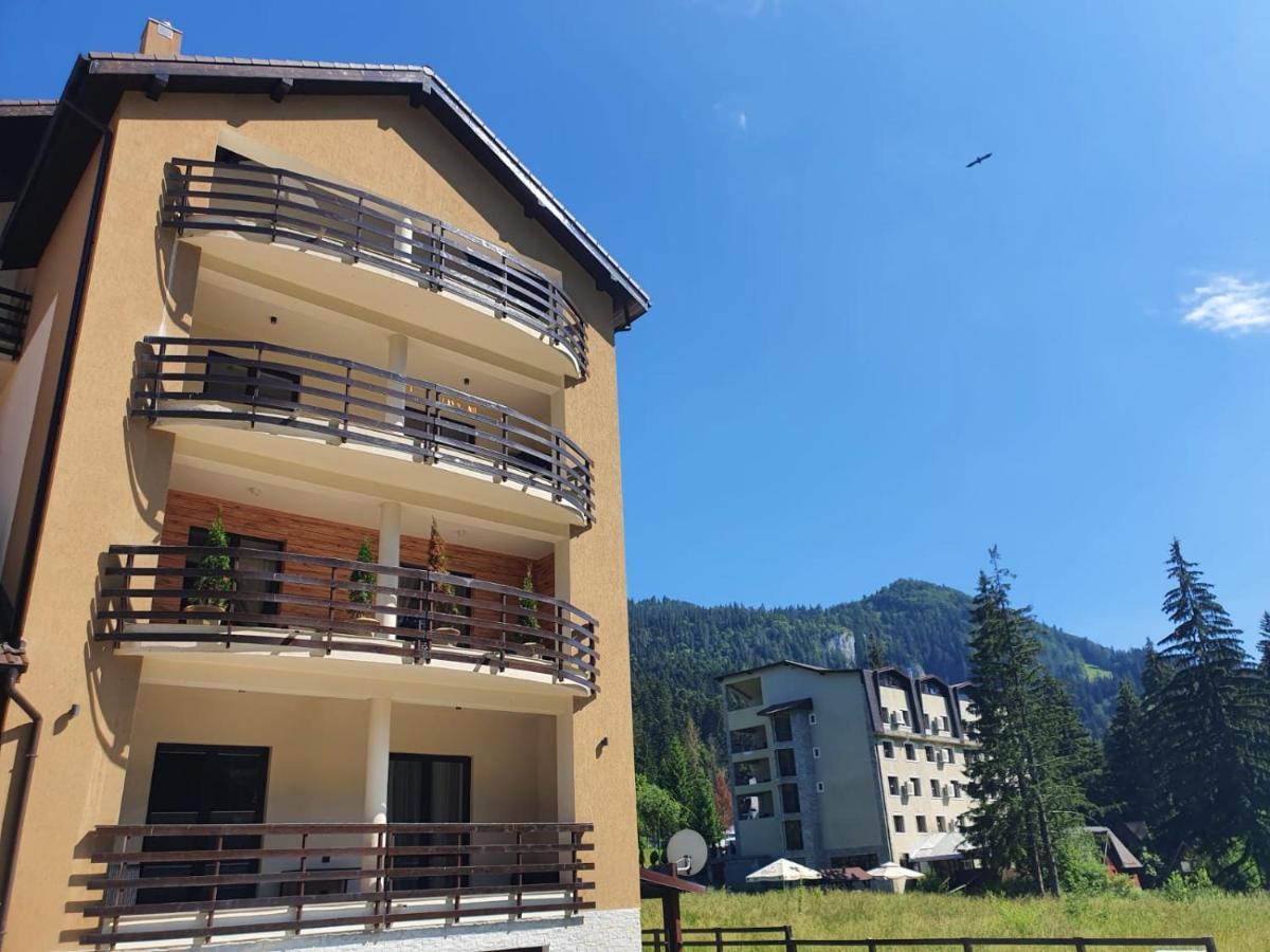 Apartament Ozon Пояна-Брашов Екстер'єр фото