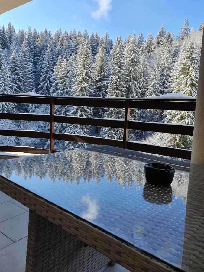 Apartament Ozon Пояна-Брашов Екстер'єр фото